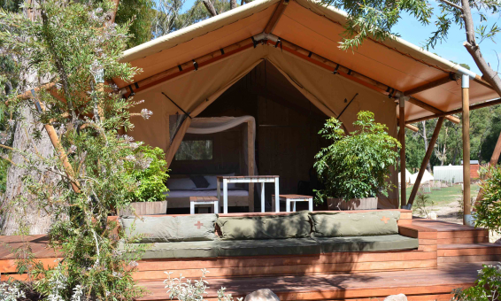 Bell tent