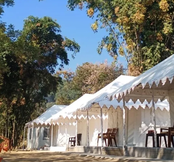 Gallery Tent 3