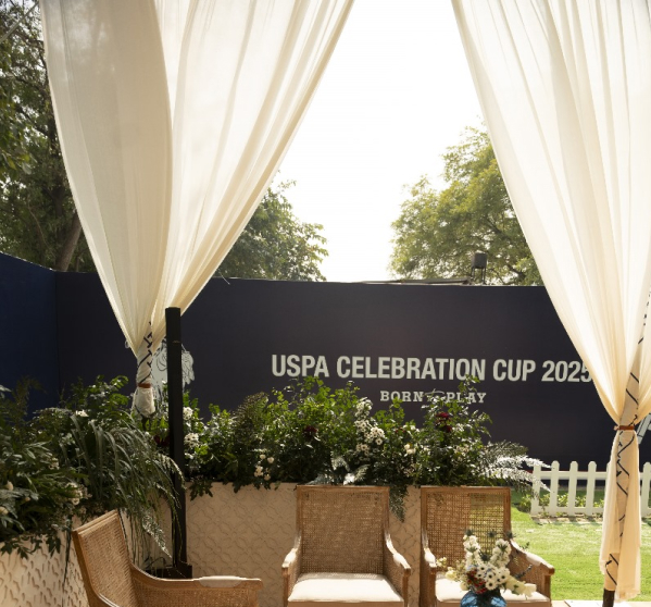 Gallery Tent 6