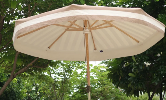 Canopies 11