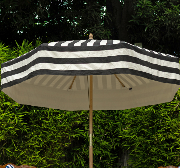 Canopies 43