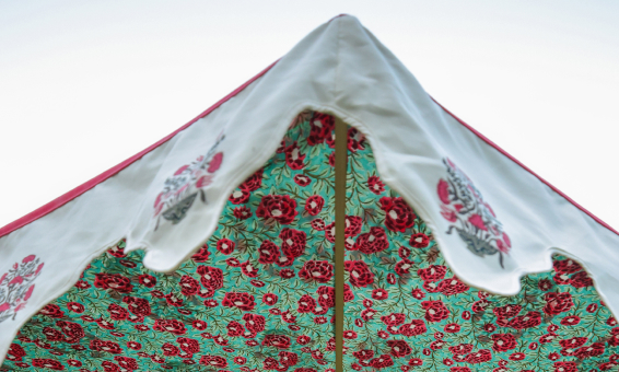 Canopies 36