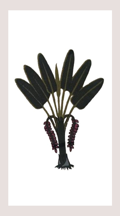 Tassel T0136