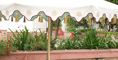 Canopies 4